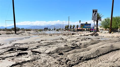 palm springs limetorrents|palm springs services .